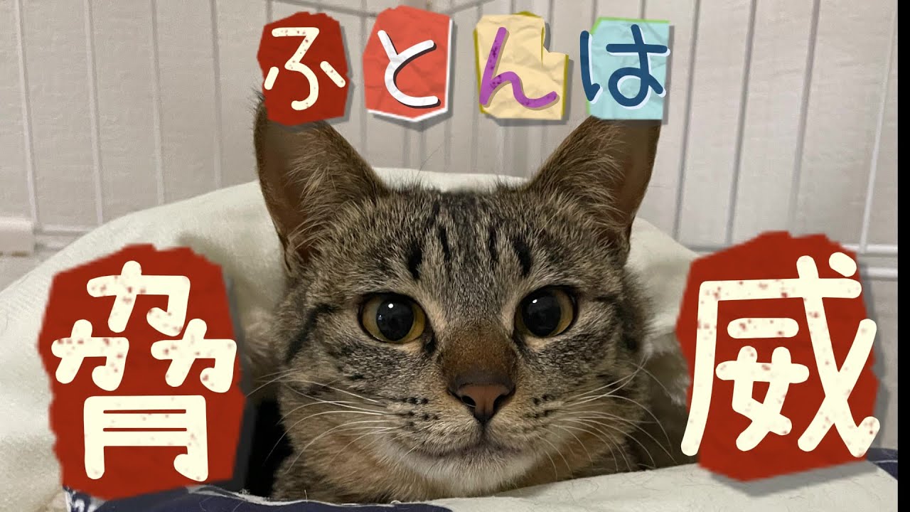 ただいまが止まらなかった日。