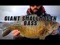 I Caught a GIANT FALL SMALLMOUTH BASS!!-Lake simcoe