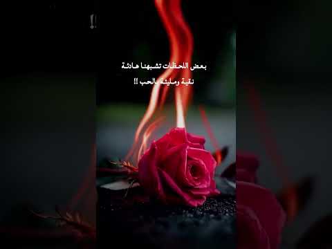 بعض اللحظات تشبهنا هادئة نقية ومليئة بالحب