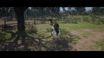 Red Dead Redemption 2 AI Path Finding At Its Finest