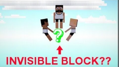 The Blockheads - How To Make An Invisible Block