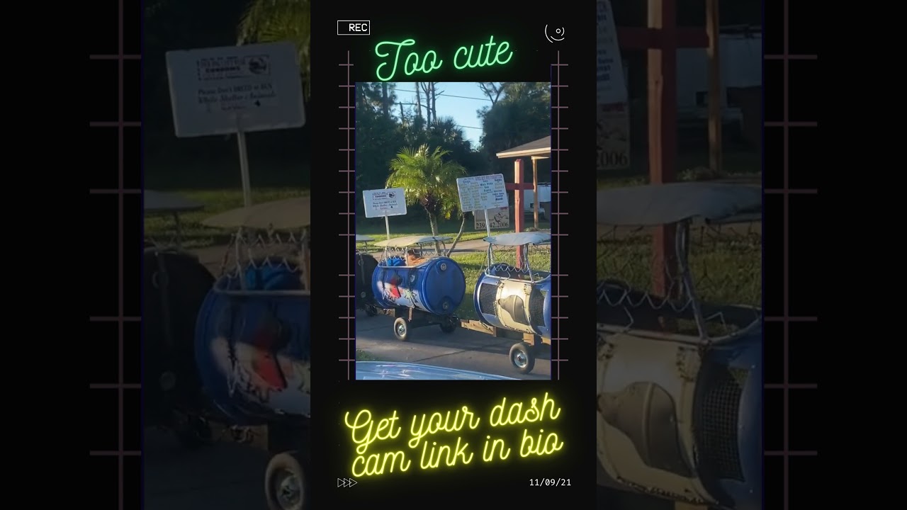 FUNNY DASH CAM MOMENTS CAUGHT ON FILM 