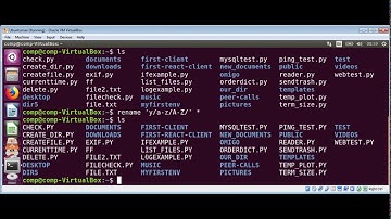 How To rename uppercase files to lowercase and lowercase to uppercase in Linux