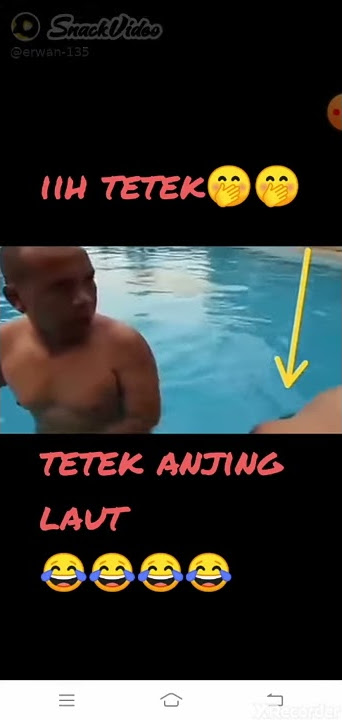 snack video story wa lucu Ih tetek😂tetek anjing laut