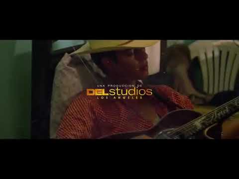 Musica la vida ruina