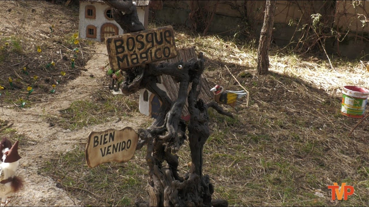 Bosque mágico en San Leonardo de Yagüe