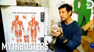 Is There a Distinct Smell of Fear? | Mythbusters | Discovery