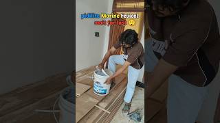 Wait for last || pidilite Marine Fevicol #pidilite #marine #fevicol #subscribers #shortsfeed