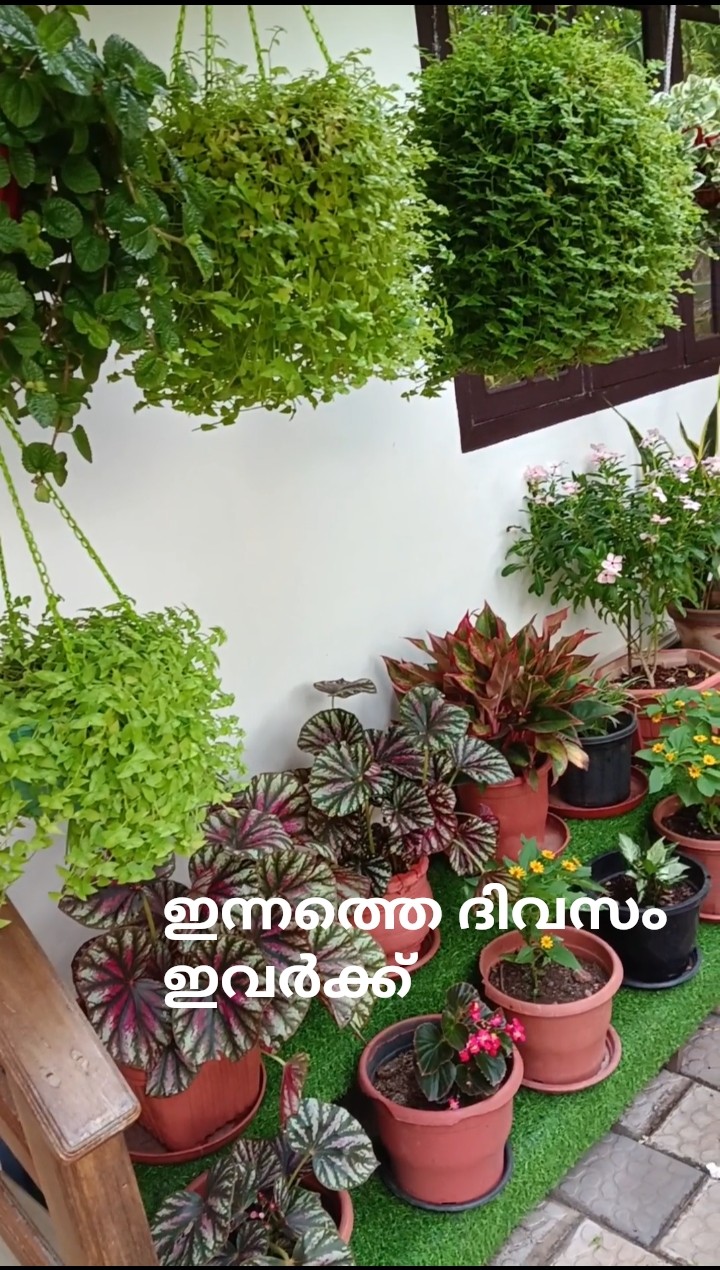 📝என் இதய உணர்வுகள் - ShareChat