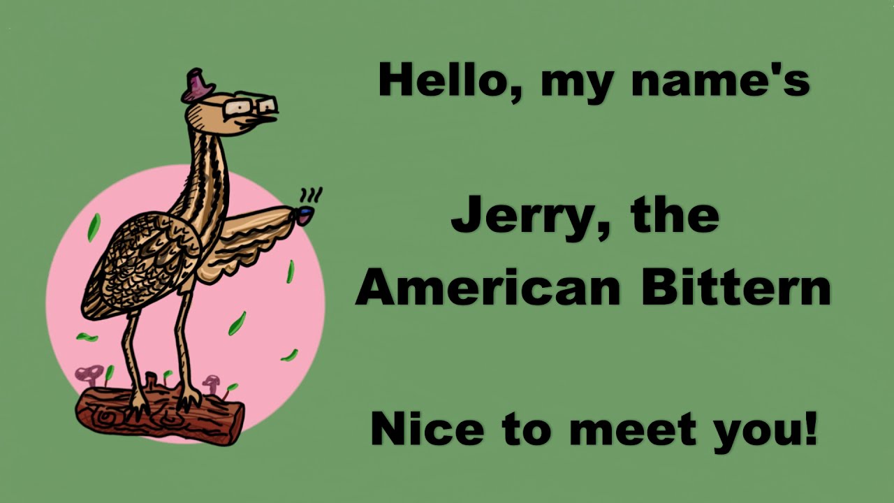 Jerry the American Bittern Draw Along - YouTube
