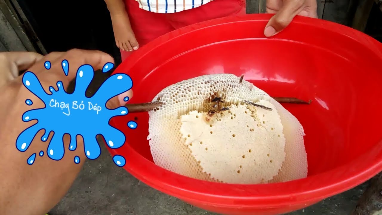 NVL- Bất Ông Ruồi Kết SML - YouTube