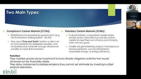 Climate Help: What Is Carbon Offset Management and Why It Matters Now