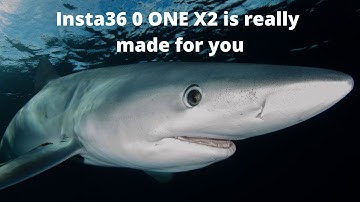 Insta360 ONE X2 is really made for you