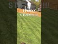 Stripes or no Stipes?#diylawncare #lawncare #healthylawn #lawnmowingbusiness #lawn #greengrass #diy