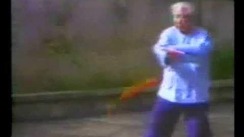 Fu Zhongwen - Tai Chi Sword