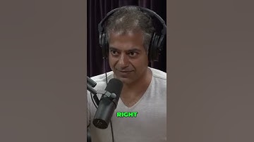 Work Smarter, Not Harder: The Lion