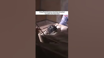 King Tutankhamun mummy unveiled to public for first time