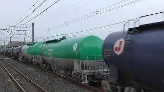 【Japan Railway】8583レ EF65 2093青プレート