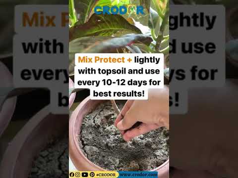 IFFCO - Protect(+)