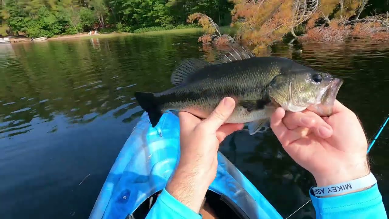 Fishing for big bass in MAINE #bassfishing #fishing #largemouthbass #mainefishing #mainelife #Lake