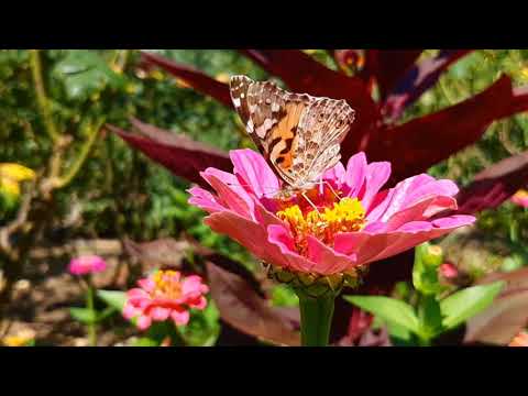 Санаторий Архипо-Осиповка