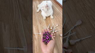 Cute cat 😻 and baeds 🌈🟢🟡🔴🍭 #cat  #asmr #reverse