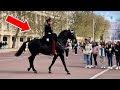 ROYAL BOSS surprise-rides his MOST BEAUTIFUL Horse down the Mall