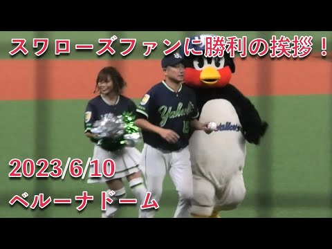 つば九郎&石川雅規、スワローズファンに勝利の挨拶！ 2023/6/10