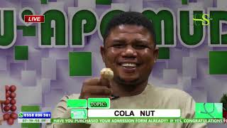 Hidden Benefits Of Cola Nut
