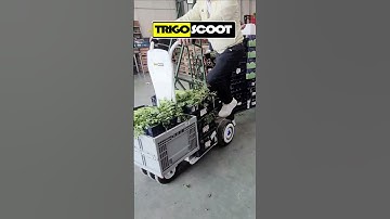 #cargoscooter - Ingenious Hoverboard Innovation. (attachment/extension)