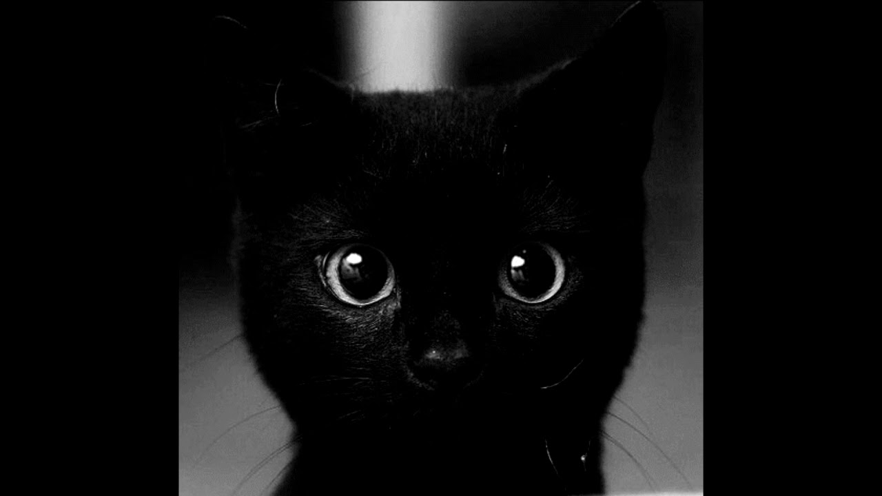 Leticia Alcântara - Versão tormento