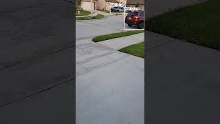 Assignment 2.1: Object detection in a movie using Google Colab and YOLO Version 2
