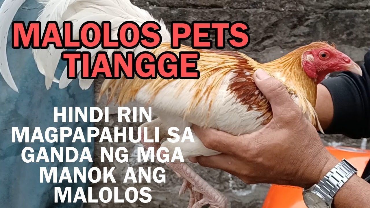 MALOLOS PETS TIANGGE
