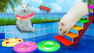 Surprised With A Summer Swimming Pool For Hamsters | Hamster Life screenshot 4
