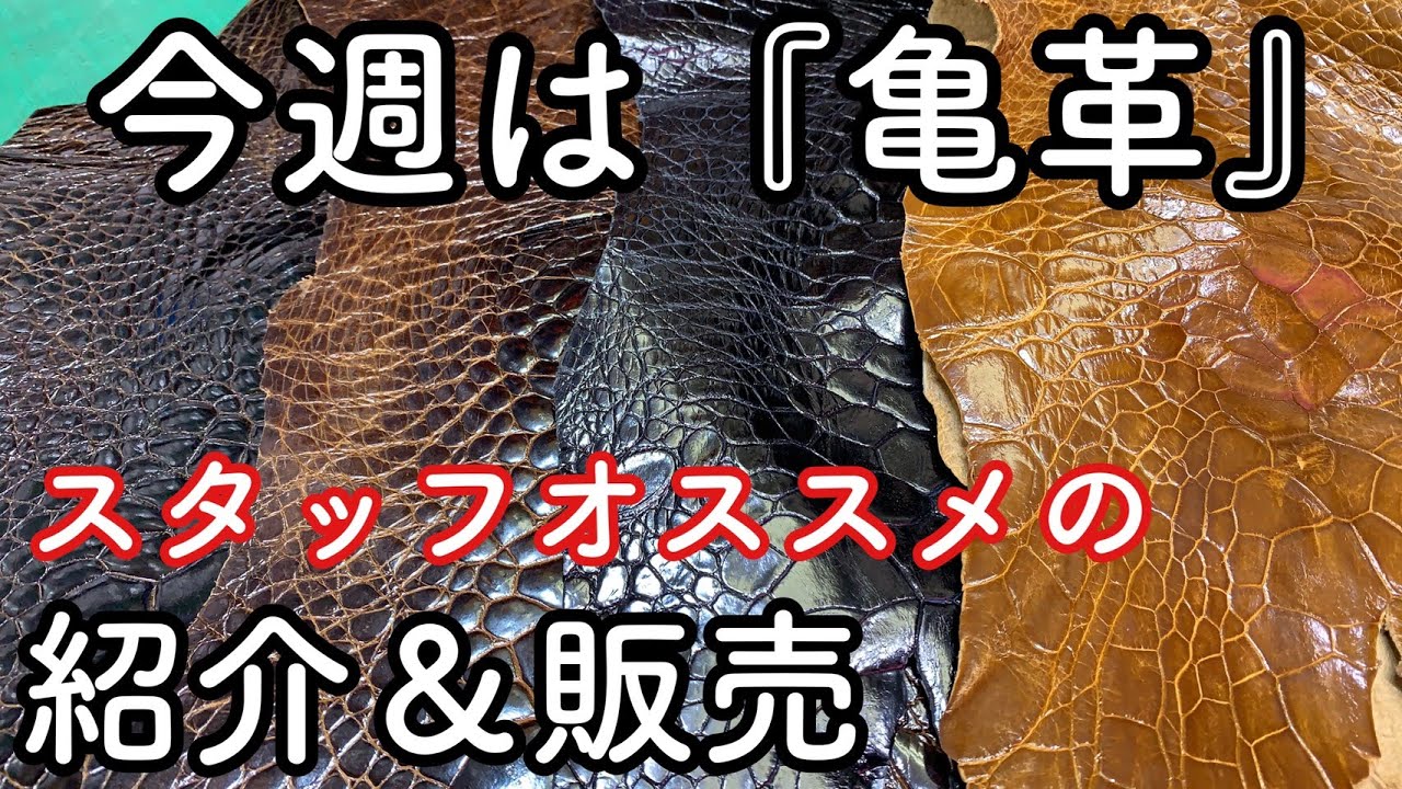 今週のスタッフオススメ『亀革』の紹介＆販売をします【レザークラフト 