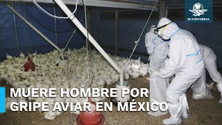 Registran primer muerte por gripe aviar H5N2 en México