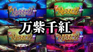 相性の良いサテライトでJPC乱獲【近畿遠征2020 part9】