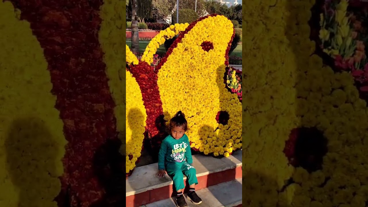 Palash Mahotsav Delhi 2026 | Cultural Program & Mela Fun | 15 Feb
