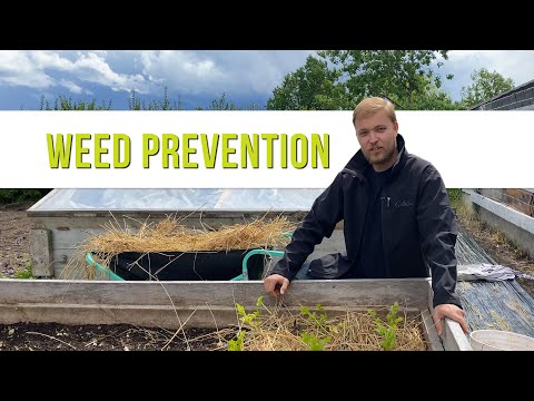 Two Simple Solutions To Stop Garden Weeds | How to Country