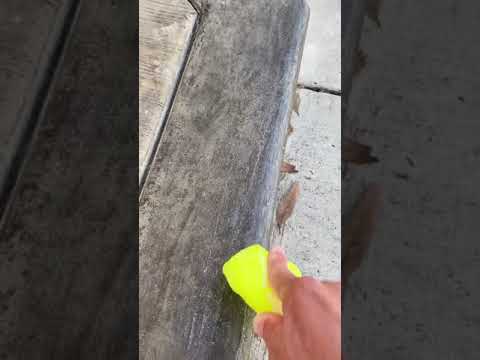 Vidéo