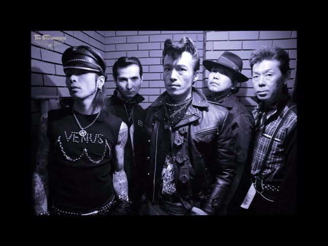 The STRUMMERS On Radio/EVERYBODY KNOWS?2008・8・9 Vol.589