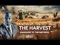 The harvest  part 1 mandate to the nations   leicesteruk  apostle joshua selman