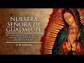 Nuestra Señora de Guadalupe, Patrona de América