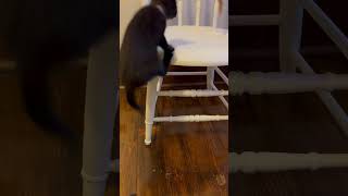 IMG 8766