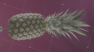 Pineapple rotating with loop on fuchsia screen for chroma key