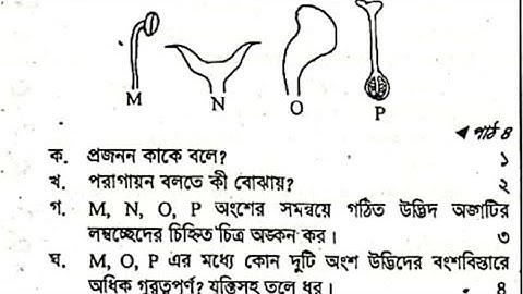 অষ্টম শ্রেণি - বিজ্ঞান - অধ্যায় ৪ সৃজনশীল প্রশ্ন গাইড - Class 8 biggan Lecture Guide srijonshil pt-1