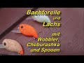 Cheburashka, Wobbler und Spoon am Lachsteich