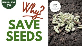 Why Seed Saving Is Crucial Today | Save Money & Grow Resilient Plants  #seeds #seedsaving