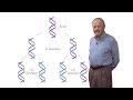 Matthew Meselson (Harvard): The Semi-Conservative Replication of DNA