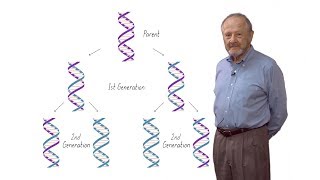 Matthew Meselson (Harvard): The SemiConservative Replication of DNA